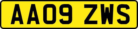 AA09ZWS