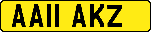 AA11AKZ