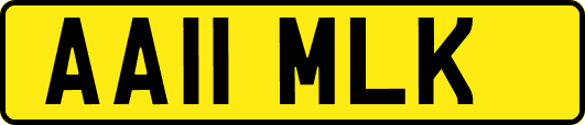 AA11MLK