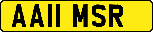 AA11MSR