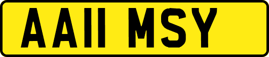 AA11MSY
