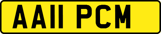 AA11PCM