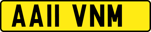 AA11VNM