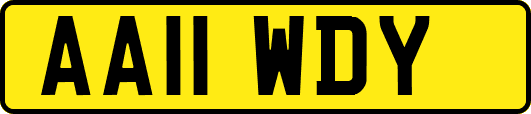 AA11WDY