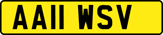 AA11WSV