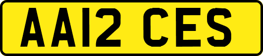 AA12CES