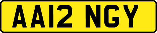 AA12NGY