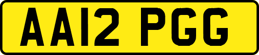 AA12PGG