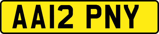 AA12PNY