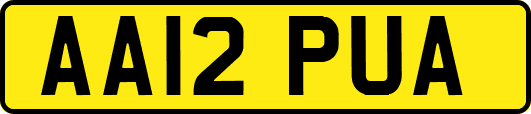 AA12PUA
