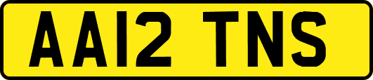 AA12TNS