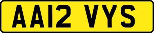 AA12VYS