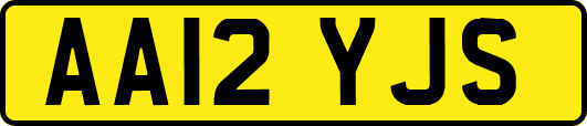 AA12YJS