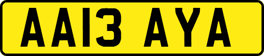 AA13AYA