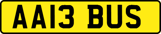 AA13BUS