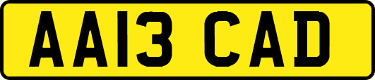 AA13CAD