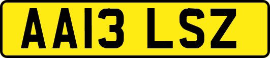 AA13LSZ