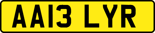 AA13LYR