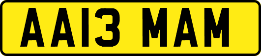 AA13MAM
