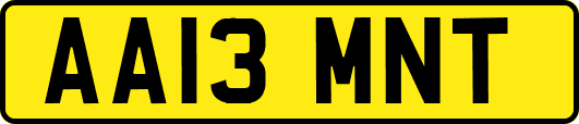 AA13MNT