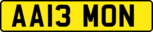 AA13MON