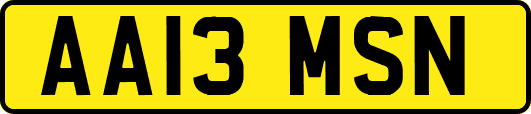 AA13MSN