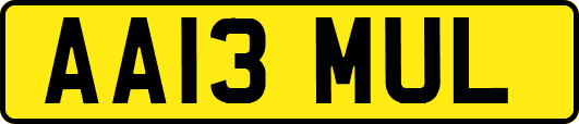 AA13MUL
