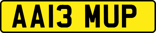 AA13MUP