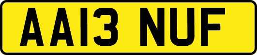 AA13NUF