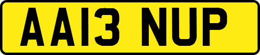 AA13NUP