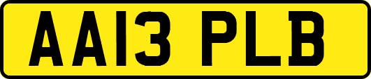 AA13PLB