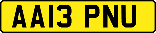AA13PNU