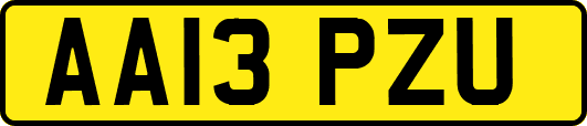 AA13PZU