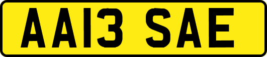 AA13SAE
