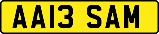 AA13SAM