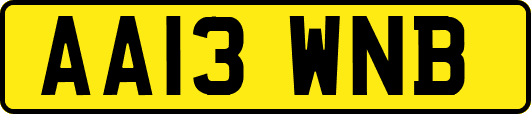 AA13WNB