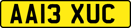 AA13XUC