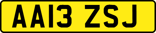 AA13ZSJ