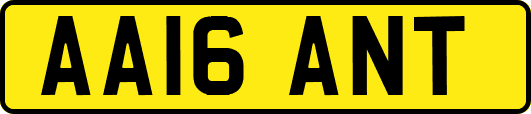AA16ANT