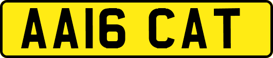 AA16CAT