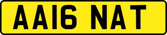 AA16NAT