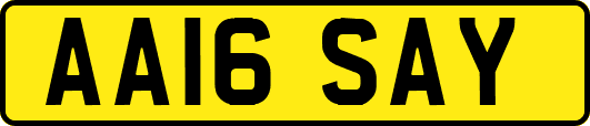 AA16SAY