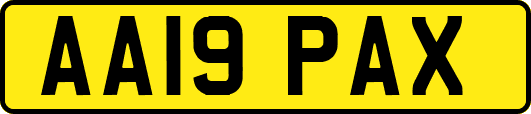 AA19PAX