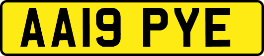 AA19PYE