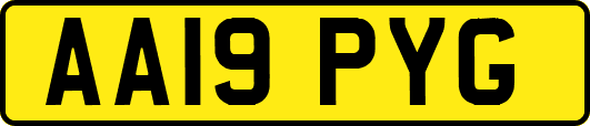 AA19PYG