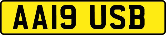 AA19USB