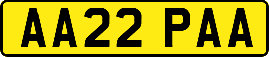 AA22PAA