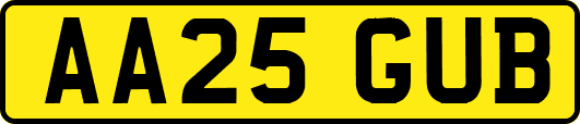 AA25GUB