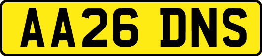 AA26DNS