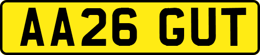 AA26GUT